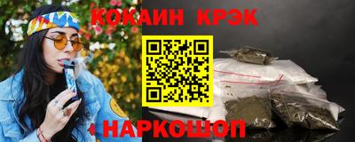 гашик Кингисепп