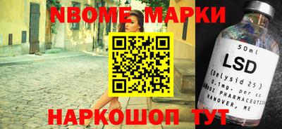 гашик Кингисепп