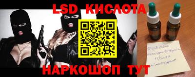 гашик Кингисепп