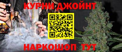 гашик Кингисепп