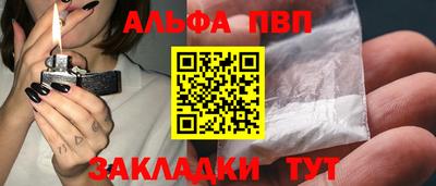 гашик Кингисепп