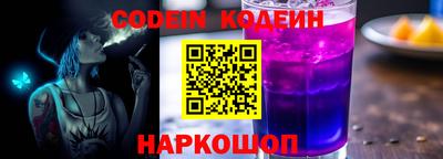 гашик Кингисепп