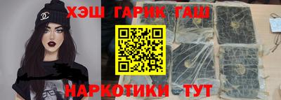 гашик Кингисепп