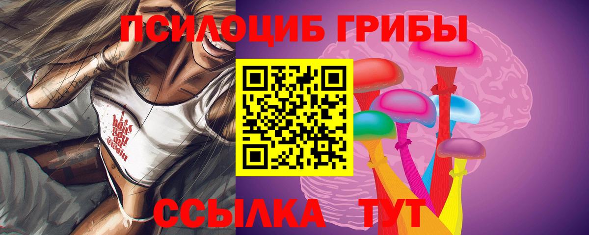 Псилоцибиновые грибы Psilocybine cubensis  Вход с VPN  где найти   Псилоцибиновые грибы Psilocybine cubensis  Знаменск 